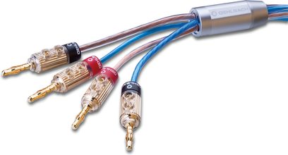 Oehlbach Bi-Tech 4.4 B højttalerkabel i skrå visning, gennemsigtige blå og kobberfarvede kapper, fire guldbelagte bananstik med røde og sorte ringe, samlet i en cylindrisk børstet metalhylster