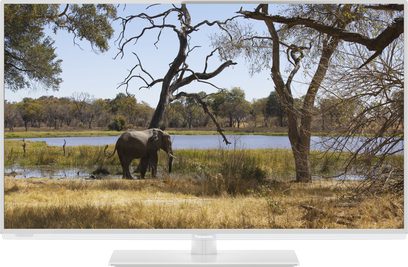 Elefant i en dam omgivet af træer med snoede grene i en tør, græsklædt savanne