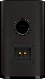 JBL Studio 620 højttalerkabinet i mørk valnød, set forfra, mørkt træ kabinet, rund sort højttaler, forgyldte terminaler