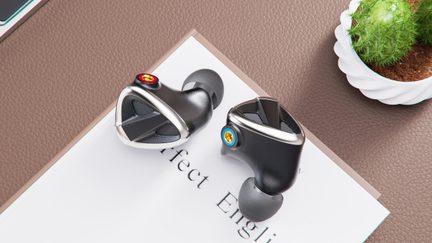 Sort metal in-ear høretelefoner med trekantet front med sølvkantet gitter, grå ørepropper og markeringer med rød og blå ring, set ovenfra