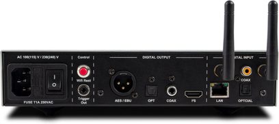 NuPrime Stream 9X sort netværksafspiller, set bagfra med to antenner og digitale tilslutninger