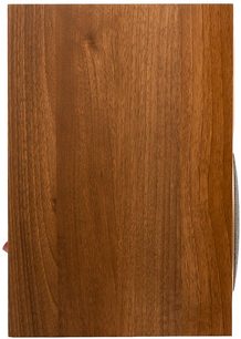 MartinLogan Foundation B1 noce