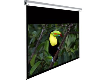 Écran de projection motorisé Lumene Majestic HD 170C affichant un toucan au plumage jaune et noir sur une branche