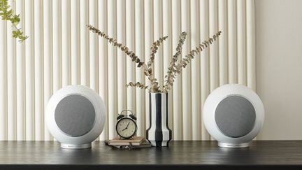 Vista frontale di due diffusori sferici bianchi in plastica lucida con griglia circolare grigia, posizionati ai lati su un vassoio in legno scuro che circonda un vaso a righe bianche e nere riempito di rami secchi, davanti a un pannello murale scanalato color crema