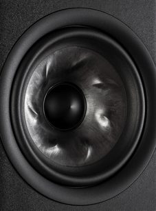 Polk Audio R350 centrale nera, primo piano frontale dell'altoparlante circolare nero opaco in una cassa nera