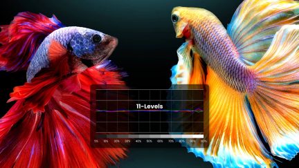 To kampfisk over for hinanden, den ene rød og den anden flerfarvet, med et niveaugrafik i baggrunden