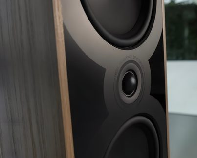 Close-up side view of a loudspeaker with a brown wooden cabinet and a glossy black front panel, showing a central tweeter encircled by an engraving and the upper part of a woofer