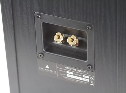 Forgyldte audiostik på sort frontpanel af Triangle Comète Maestro højttalere, tæt forfra-billede