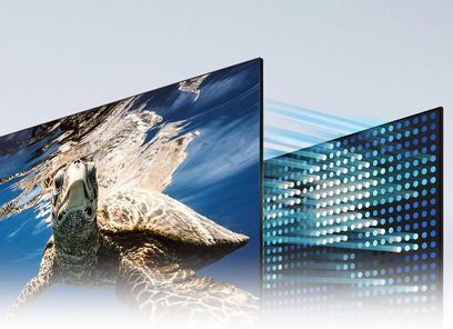 Televizor Samsung QE65Q80A 2021 zobrazující mořskou želvu vynořující se z vody, pozadí s tečkovým modrým obrazem
