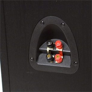 Zwarte luidsprekerbox met 4 rode en zwarte connectoren op een ingebouwd ovaal paneel, close-up vooraanzicht