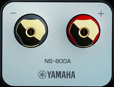 Yamaha NS800A