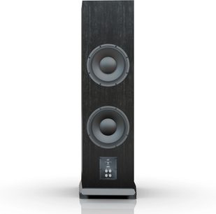 Talni zvočnik Mofi Electronics SourcePoint V10 črne barve, zadnji pogled z dvema zvočnikoma in vgrajenim spodnjim priključnim terminalom