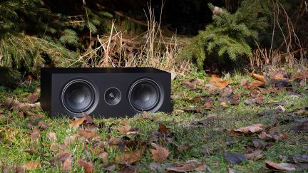 Enceinte noire au milieu de feuilles mortes et de branches de conifères sur un sol herbeux