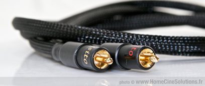 RCA-lydkabel MPC Audio Squisito modulation sort og blå, nærbillede af de forgyldte stik, set forfra