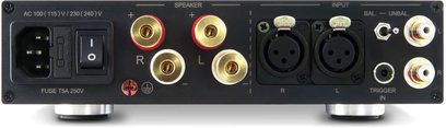 Nuprime ST-10 sort effektforstærker, bagside, audio- og strømstik, knapper og indikatorer