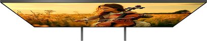 Televizor Sony BRAVIA 5 K55XR5 v černé barvě s tenkým kovovým rámem, mírně shora zepředu, umístěný na dvou tenkých středových nohách, zapnutý displej zobrazující venkovskou scénu