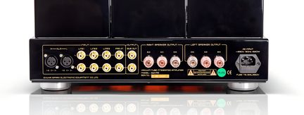 Sort hi-fi forstærker i lakeret metalkabinet, set bagfra, med to XLR-indgange, ti guldbelagte RCA-stik, otte gennemsigtige rød- og sortfarvede højttalerterminaler, IEC-strømstik og sølvfarvede cylindriske fødder