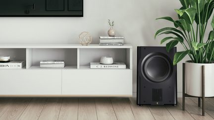 White low cabinet with 3 open compartments holding books and decorative items, black subwoofer, potted green plant