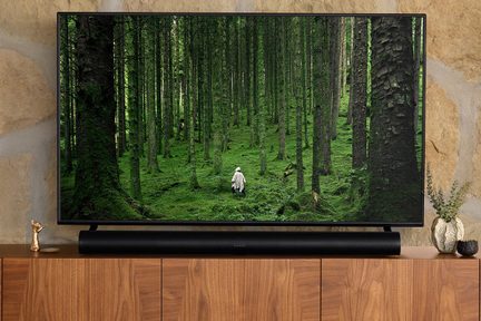 Televisor de pantalla plana sobre mueble de madera, barra de sonido negra, pared de piedra, figura dorada, jarrón beige, maceta negra