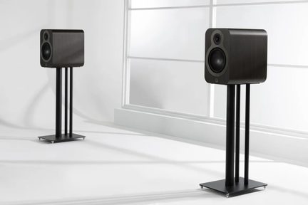 Two bookshelf speakers in dark wood finish, rectangular cabinets with rounded corners featuring visible tweeter and woofer, mounted on black metal stands with three columns and a square base, overall view slightly angled