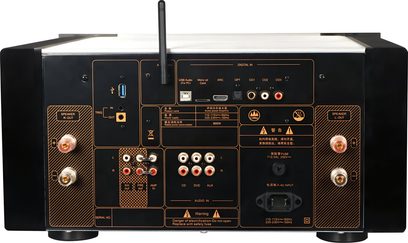 Stereo integreret forstærker Tonewinner AD-99D set bagfra, komplet lydtilslutning med USB, optisk, RCA og højttalerterminaler