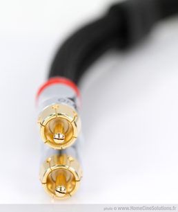 Forgyldte RCA-stik, sort kabel, ekstrem nærbillede af stikenden, selektiv fokus på forreste stik