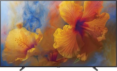 Lähivõte Samsung QE88Q9F teleriekraanist, millel kuvatakse eredaid eksootilist lillekirju