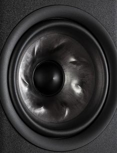 Polk Audio R400 centrale nera, primo piano frontale dell'altoparlante centrale circolare nero opaco testurizzato