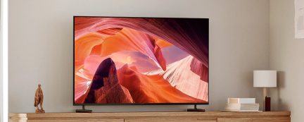Fladskærms-tv på træmøbel, billede af canyon, fuglestatuette, hvid lampe, stabel bøger