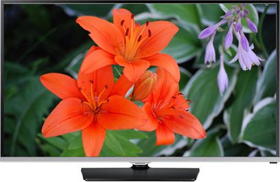 Televisore Samsung UE40H5000 che mostra un giglio arancione e un fiore viola su uno sfondo di fogliame verde, visto di fronte