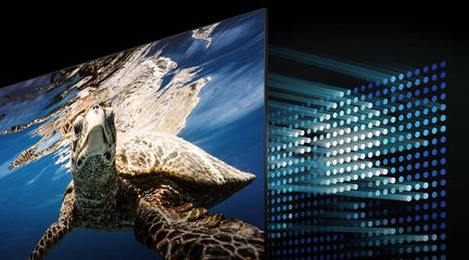 Havskildpadde der svømmer foran en blå LED-skærm med lysende hvide prikker, set fra siden, tæt på hovedet og skjoldet
