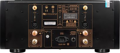 Tonewinner AD2500 PRO hi-fi effektforstærker set bagfra med højttalerterminaler, RCA- og XLR-indgange samt netstik