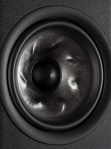 Polk Audio R350 centrale nera, primo piano frontale dell'altoparlante circolare nero opaco in una cassa nera