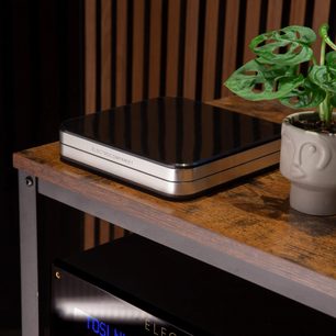 Integrovaný stereo hi-fi zesilovač Electrocompaniet RENA S2, pohled shora, černý a stříbrný obdélníkový kryt, umístěný na dřevěné polici, zelená rostlina v šedém květináči vpravo