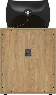 Boekenplankspeaker KO-R2 achteraanzicht, licht eiken decor, grote zwarte hoorn en centraal aansluitterminal