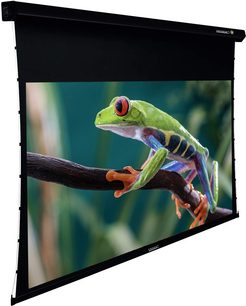 Motorizuotas Lumene Coliseum UHD 4K8K PLATINUM 270C projekcinis ekranas, išskleidžiantis žalią ir mėlyną varlę ant šakos