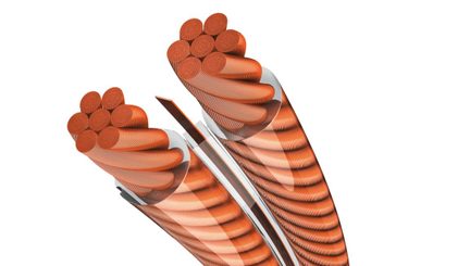 Due conduttori in rame multistrand arancione in guaina plastica trasparente, vista in sezione ravvicinata