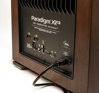 Paradigm XR 13 noce subwoofer, vista ravvicinata frontale dei connettori e dei controlli sul retro