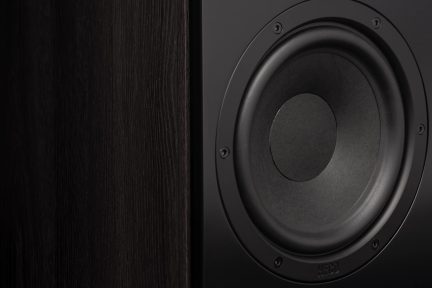 Vista ravvicinata di un altoparlante circolare nero incassato in un diffusore in legno scuro con texture visibile