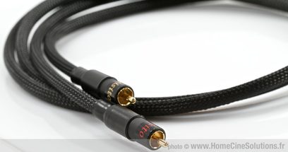MPC Audio Squisito RCA-lydkabel i sort, flettet kabelkappe, forgyldte stik, nærbillede af enderne
