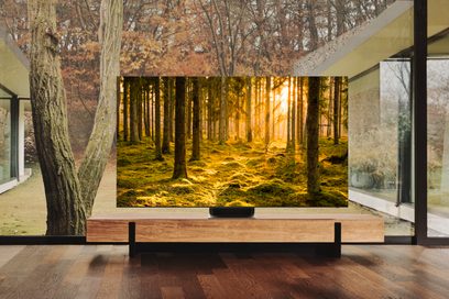 Samsung QE75QN900B 2022 fladskærms-TV, der viser en solrig efterårsskov, set indefra et moderne rum