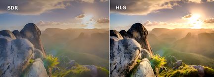 left panel SDR, right panel HLG, rounded textured rock, green fern, misty rolling valley, golden cloudy sky, bright sun in the background, top-down perspective