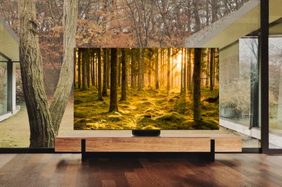 Televizor Samsung QE65QN900B 2022 zobrazující slunečný podzimní les na dřevěném nábytku v prosvětleném pokoji