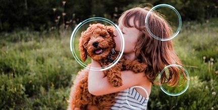 Hnědovlasá dívka v pruhovaném šatě z bílé a modré látky zepředu drží kudrnaté rezavé štěně s černým obojkem na zelené louce se čtyřmi překrývajícími se světle modrými kruhy