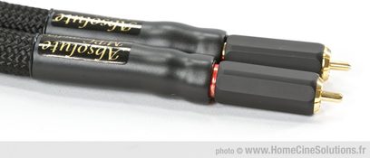 Analogt RCA-lydkabel MPC Audio Absolute modulation RCA sort, tæt på, ovenfra, forgyldte stik