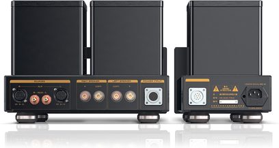 Preamplificatore cuffie hi-fi Cayin HA-300MK2 in metallo nero, vista posteriore, composto da due telai rettangolari su piedini con etichette dorate, connettori XLR e RCA, morsetti per diffusori e prese di alimentazione