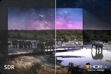 Černý televizor s plochou obrazovkou s ultra tenkým tmavým plastovým rámem, pohled zepředu, rozdělený obraz porovnávající SDR a HDR10+ s noční scénou slonů