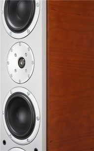 System Audio Explorer gulvhøjttaler, set forfra og fra siden, mørk træfinish, sorte højttalere, sølvfarvet gitter