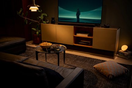 Vardagsrum med lädersofa, soffbord, TV-möbel, platt-TV som visar ett landskap, hängande lampa, grön växt