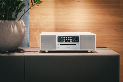 Компактна сива hi-fi уредба върху черен шкаф, изглед отпред, зелено растение с продълговати листа вляво